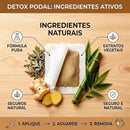 Adesivo detox para os pés Kiyome Kinoki – Pacote com 10 unidades